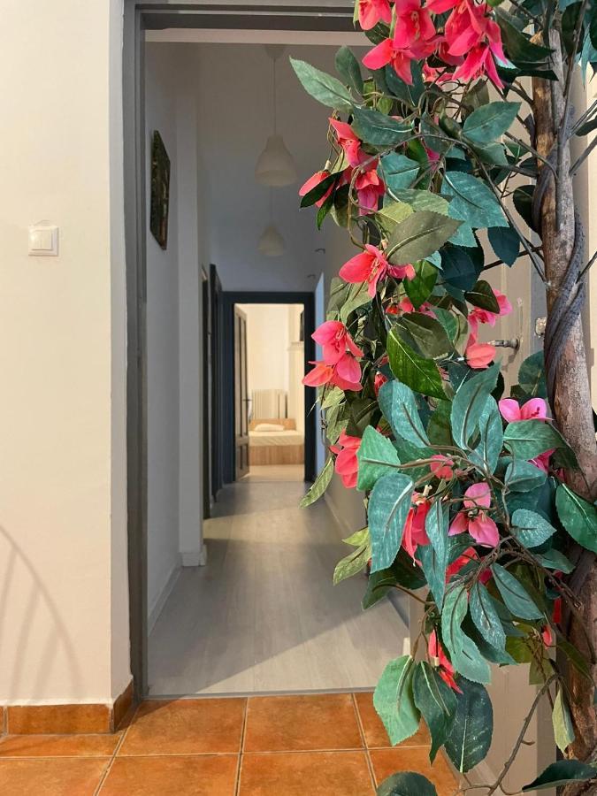 Outstanding 3Br Ultracentral Cityview Balcony Aaa Bucareste Exterior foto